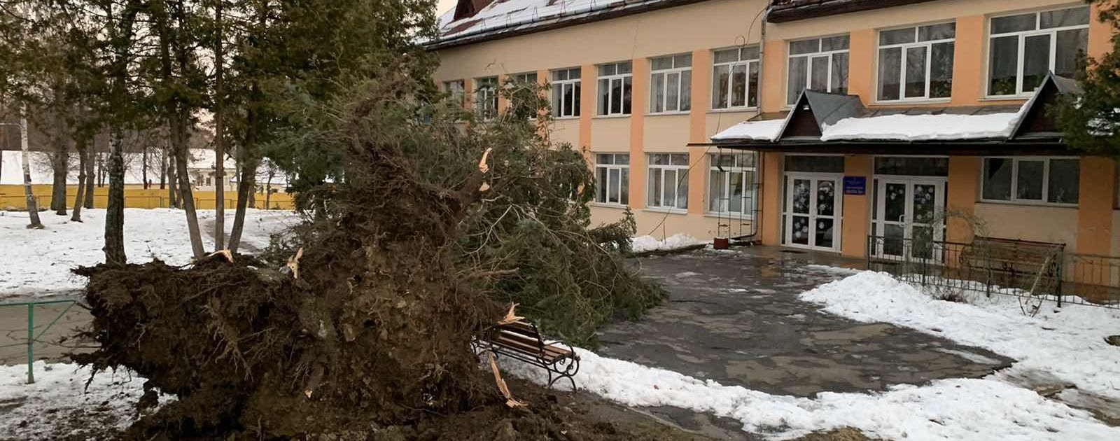 На Заході України вирує шквальний вітер: повалені дерева та знеструмлені будинки без дахів