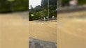 Вода несеться просто вулицями: Буковель накрила потужна негода — відео