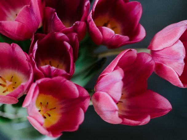 День ангела 15 квітня — душевні привітання в прозі і віршах / © Unsplash
