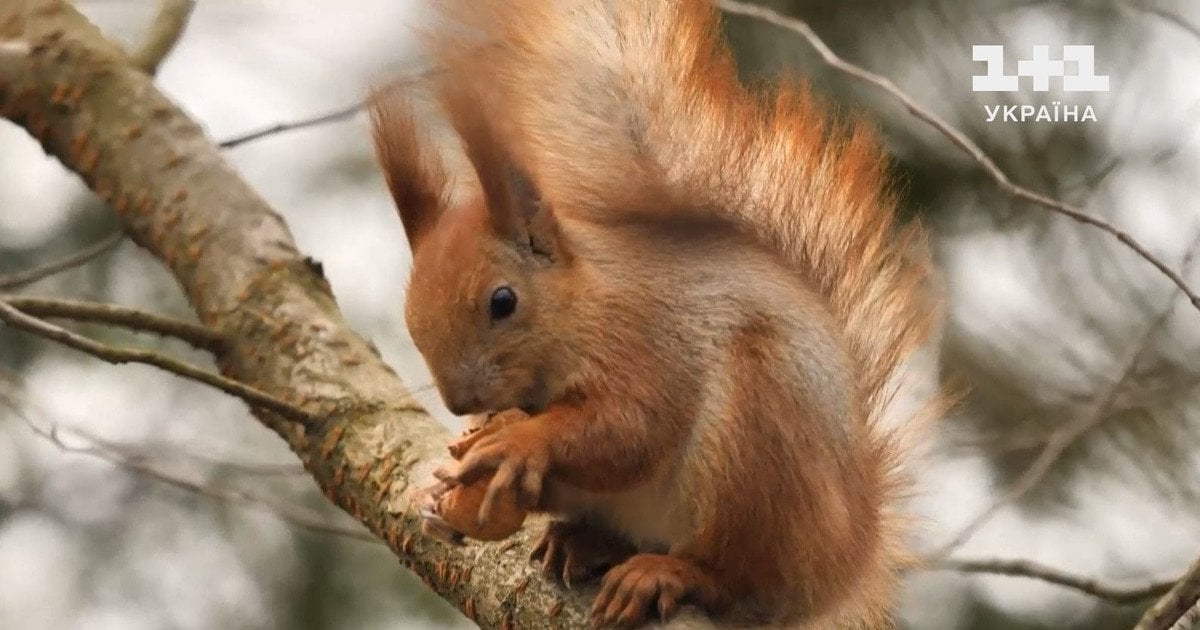 Погода в Україні