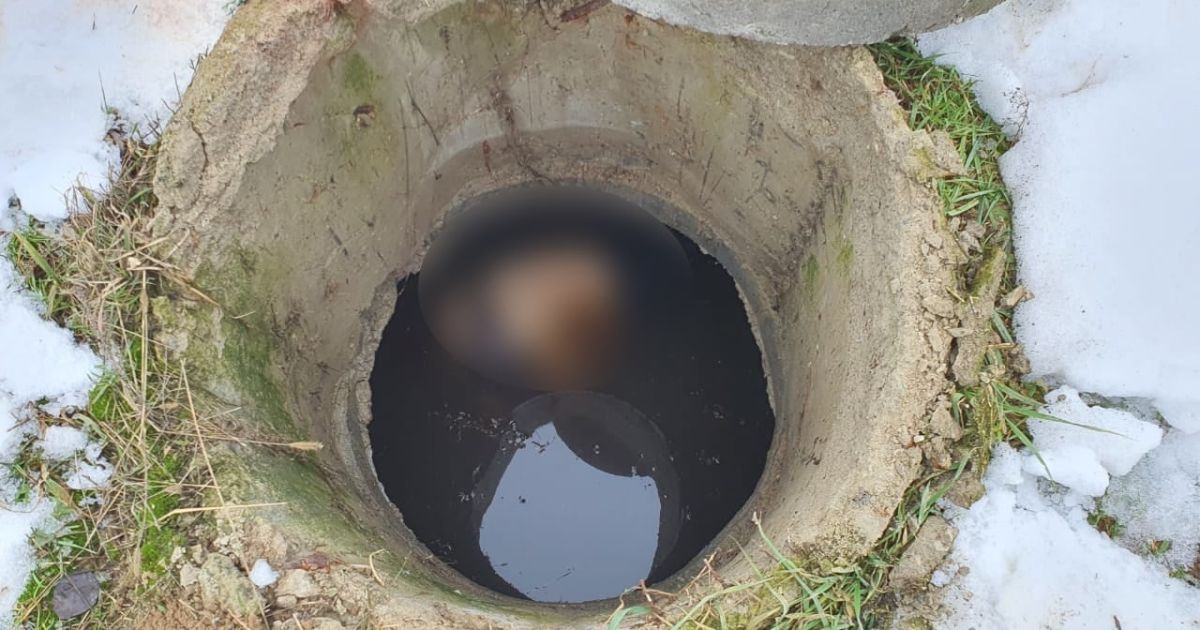 На Київщини затримали молодика за зухвале вбивство рідної матері