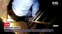 Новости Украины: спасатели в Сумской области освободили кабана, который упал в погреб