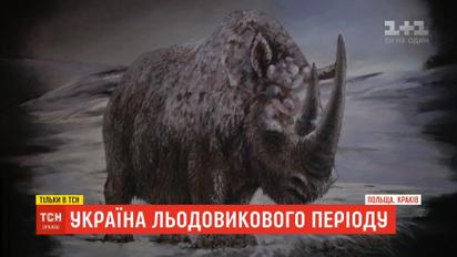 Україна льодовикового періоду: на Прикарпатті знайшли межі болота, де потонули доісторичні тварини