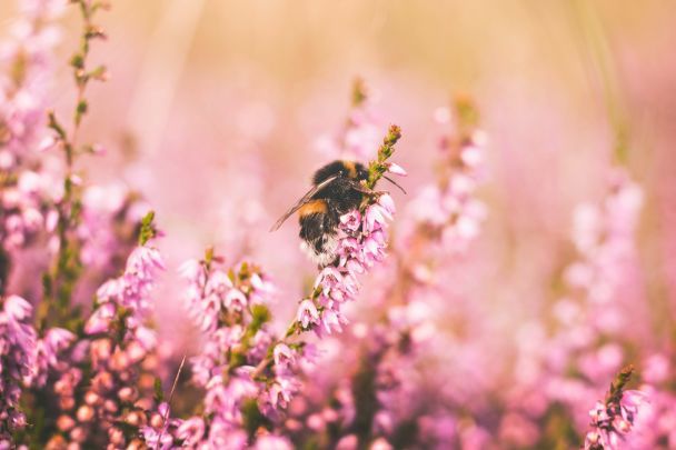 Народні прикмети 13 липня / © Unsplash
