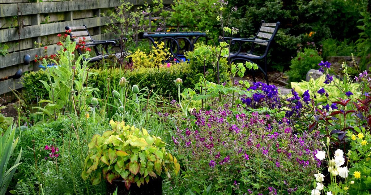 Маленький сад