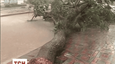 Через тайфун Коппу на Філіппінах постраждали понад 180 тисяч осіб