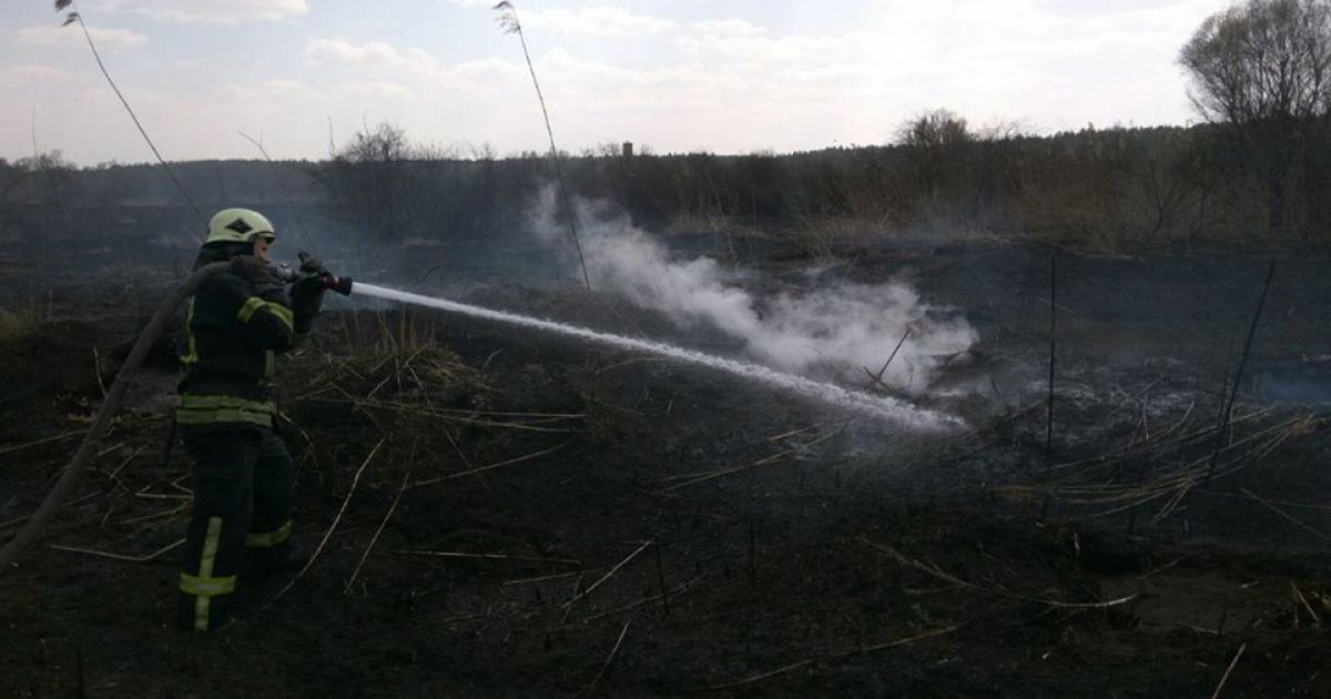 У Києві сталася пожежа: горів торф
