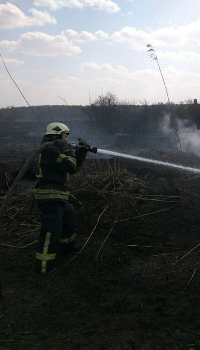 В Киеве произошел пожар: горел торф