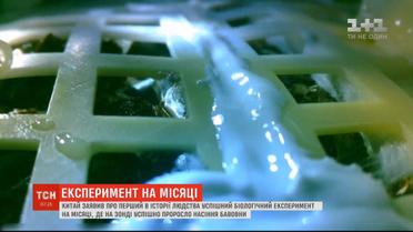 На Місяці вперше проросла земна рослина