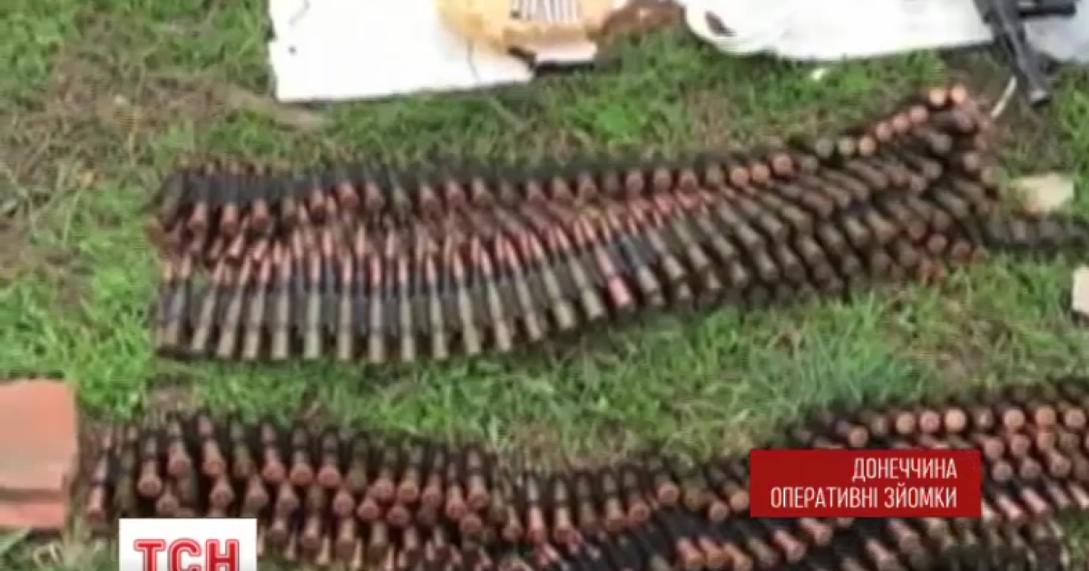 Пограничники нашли схрон с впечатляющим арсеналом оружия в Новгородском