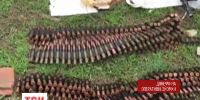 Прикордонники знайшли схрон із приголомшливим арсеналом зброї у Новгородському