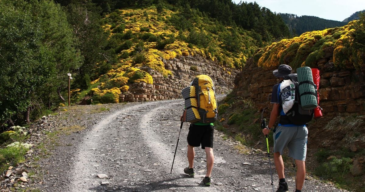 У парламенті зареєстрували законопроєкт "Про туризм": що він передбачає
