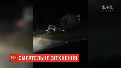 На Буковине в подводу врезался микроавтобус, погиб пассажир телеги и лошадь