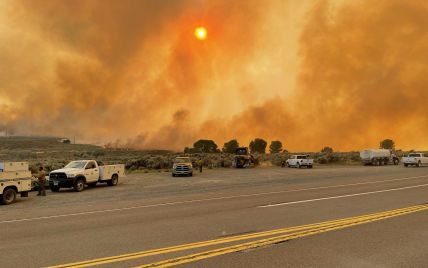 Запад США охватила аномальная жара, в регионе бушуют масштабные лесные пожары: что известно