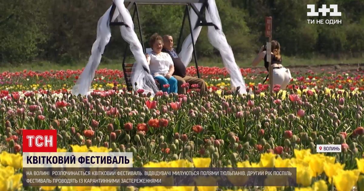 Новости Украины: как прошло открытия "Волынской Голландии" и сколько расцвело тюльпанов в Кропивницком