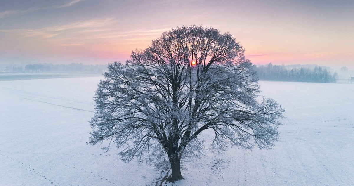 Який сьогодні, 5 лютого, день ангела