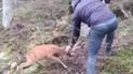 Скріншот з відео