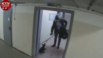 Буцав ногами, як футбольний м'яч: у Києві чоловік жорстоко побив і викинув цуценя 