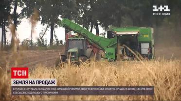 Новости Украины: отныне украинцы официально могут покупать и продавать землю сельскохозяйственного назначения