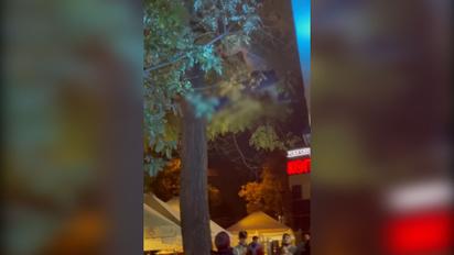 В Одессе мужчина полез доставать с дерева кота и эпически загремел на землю