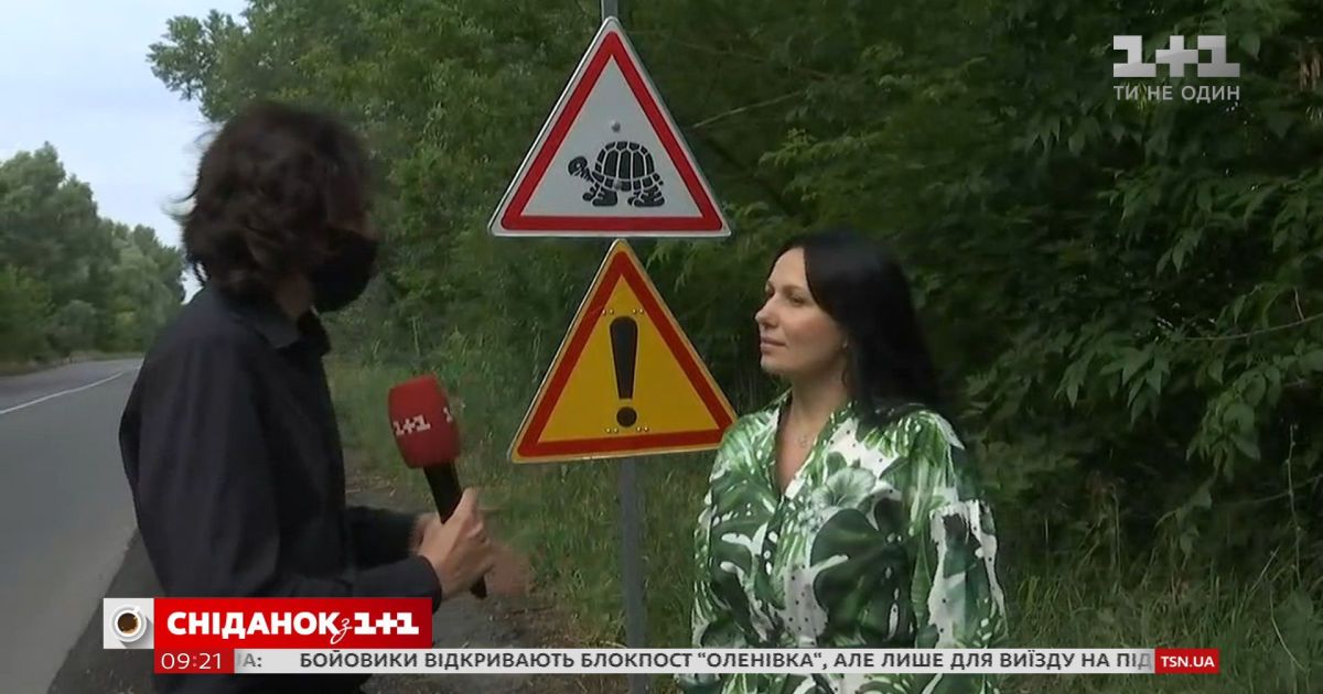Осторожно, черепахи: как в Кременчуге появился уникальный дорожный знак