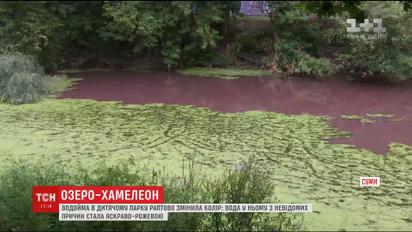 У Сумах озеро раптово забарвилося у рожевий колір
