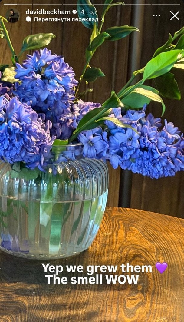 Квіти, які виростив Девід Бекхем / © Instagram Девіда Бекхема