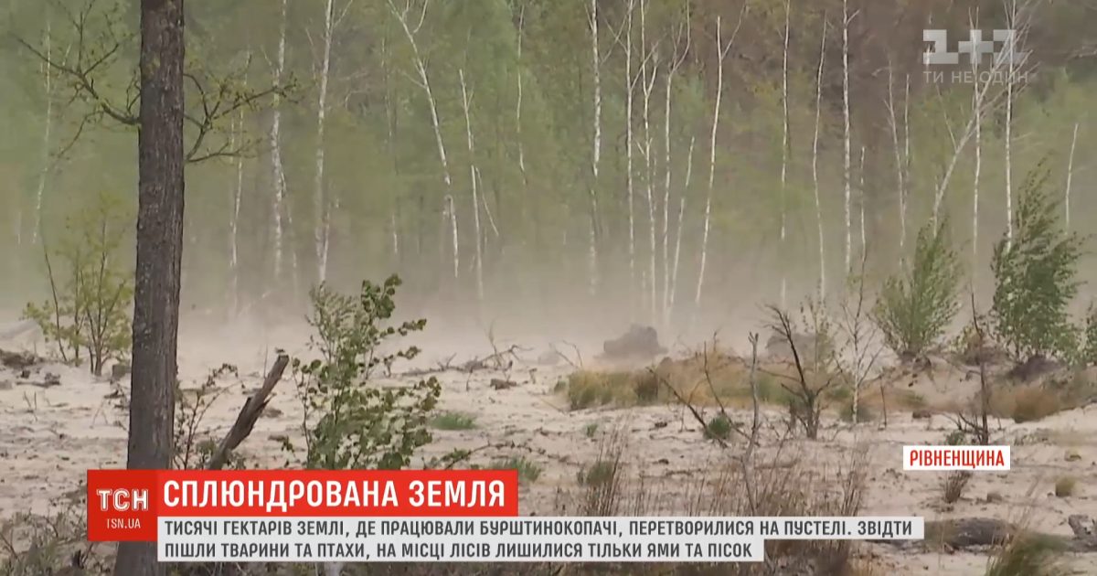 ТСН