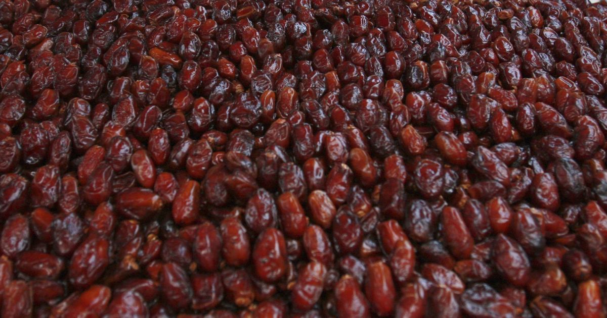 Заменяют мясо и омолаживают кожу: топ-5 полезных свойств фиников