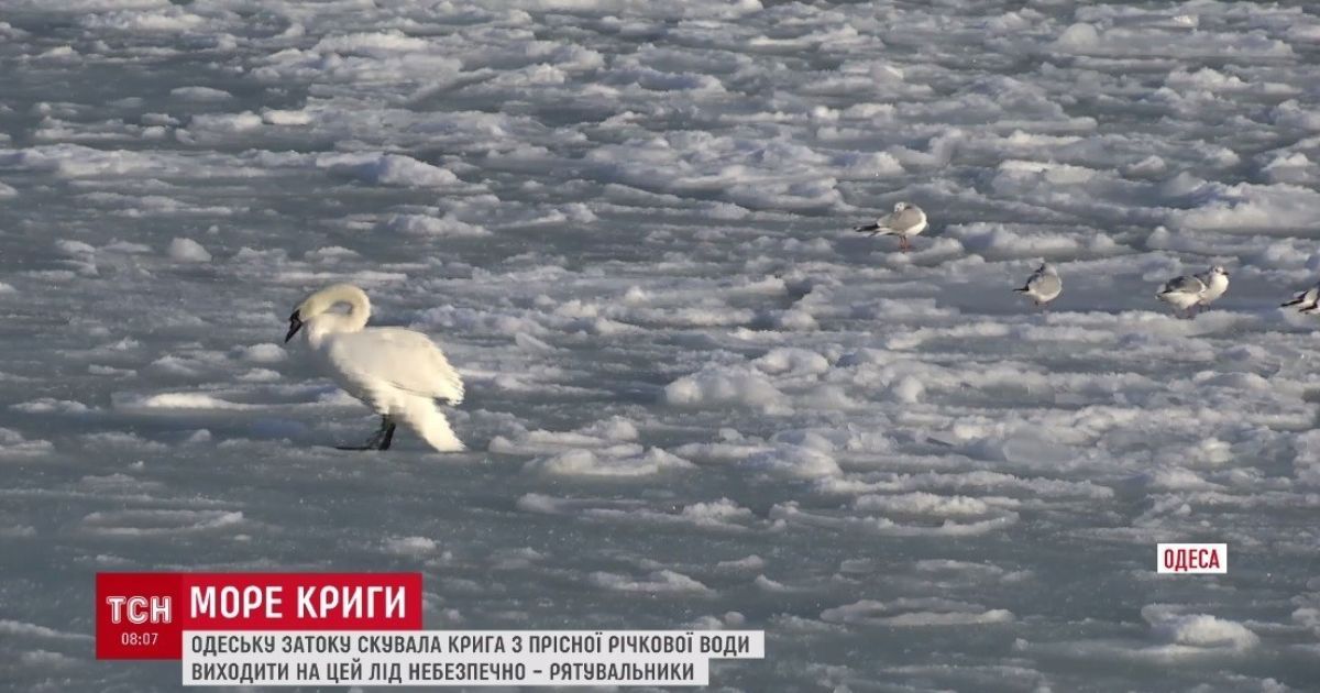 Чорне море в Одесі_3 / © ТСН.ua