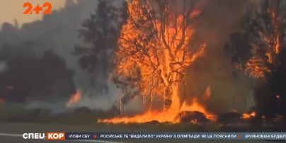 Боротьба з полум'ям у США: що ускладнює роботу вогнеборців