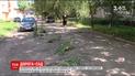 У Рівному активісти в ями на дорогах висадили саджанці й траву