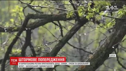 Синоптики объявили штормовое предупреждение на Западе Украины