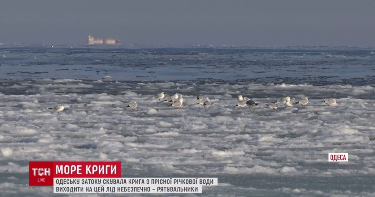 Чорне море в Одесі_6 / © ТСН.ua