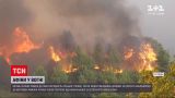 Новости мира: огонь лесных пожаров вплотную приблизился к домам в Афинах