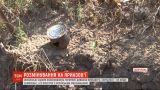 Сразу 18 мин на нескольких метрах тропы сняли украинские саперы на Приазовье