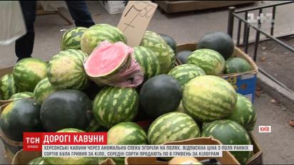 Кавунова криза: українців шокують цьогорічні ціни на баштанні