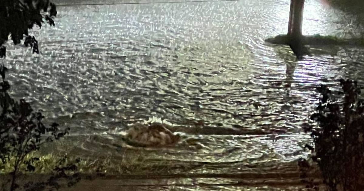 Непогода во Львове