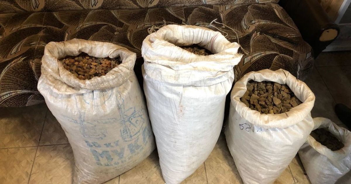 У Рівненській області викрили поліцейського, який "кришував" нелегальний видобуток бурштину