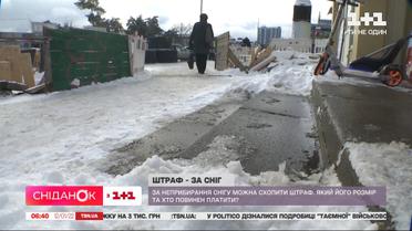 За неуборку снега теперь можно схлопотать штраф: кто должен платить
