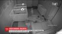 Ночные приключения: как близнецы развлекались пока родители не видели