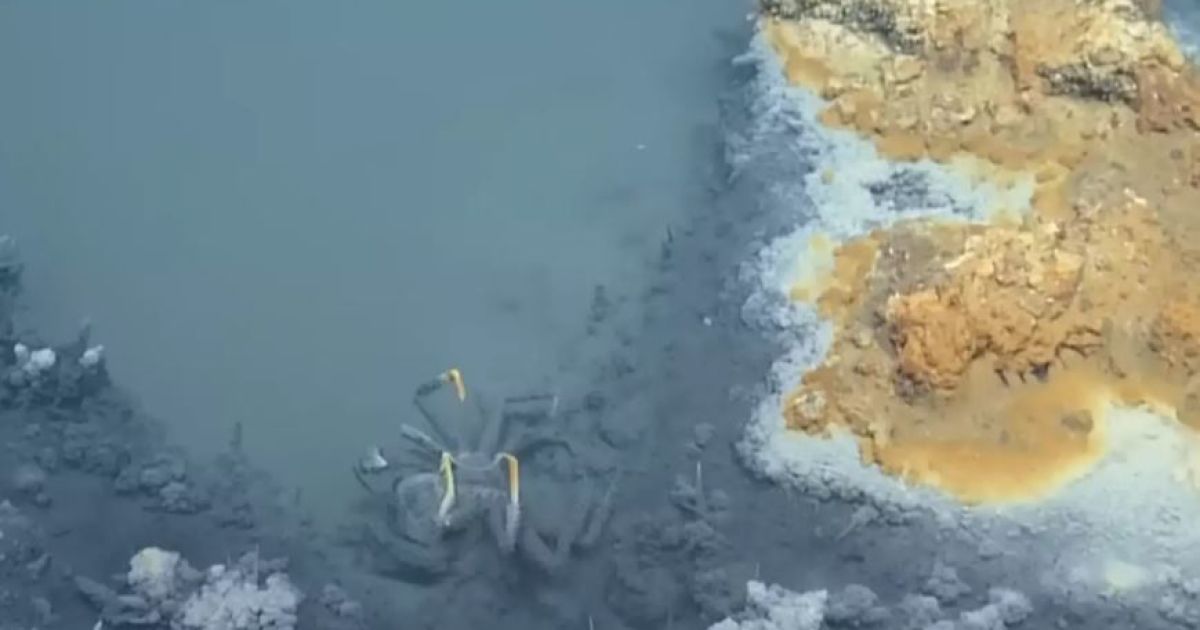 Джакузі смерті / Фото: YouTube/EVNautilus