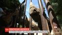 Три європейські зоопарки відправляють до Руанди п’ятьох чорних носорогів