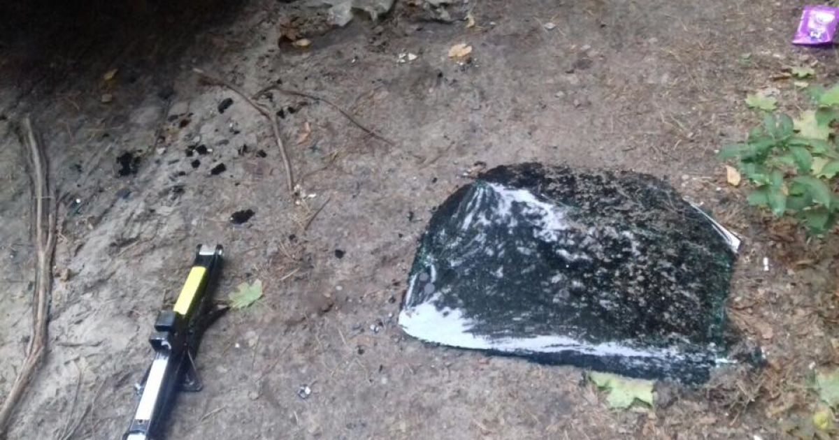 Розбійний напад у Святошинському районі Києві_2 / © Facebook/Оксана Блищик