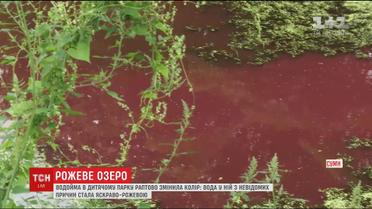 Водойма у дитячому парку міста Суми раптово змінила колір