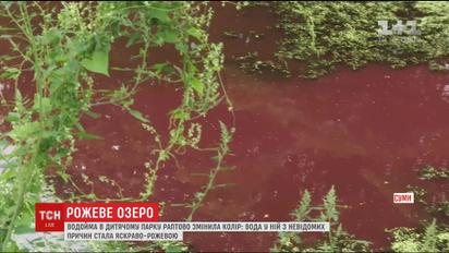 Водойма у дитячому парку міста Суми раптово змінила колір