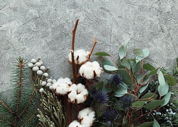 День ангела 22 грудня — душевні привітання в прозі / © unsplash.com