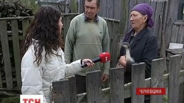 На Черниговщине перелетные птицы во время непогоды спутали заасфальтированную дорогу с рекой