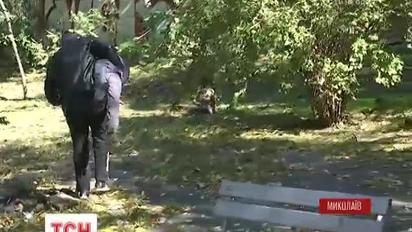 В Николаеве бомж пытался похитить ребенка