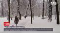 Новини Львова: чи справді 67-річну жінку привалило дерево у Стрийському парку